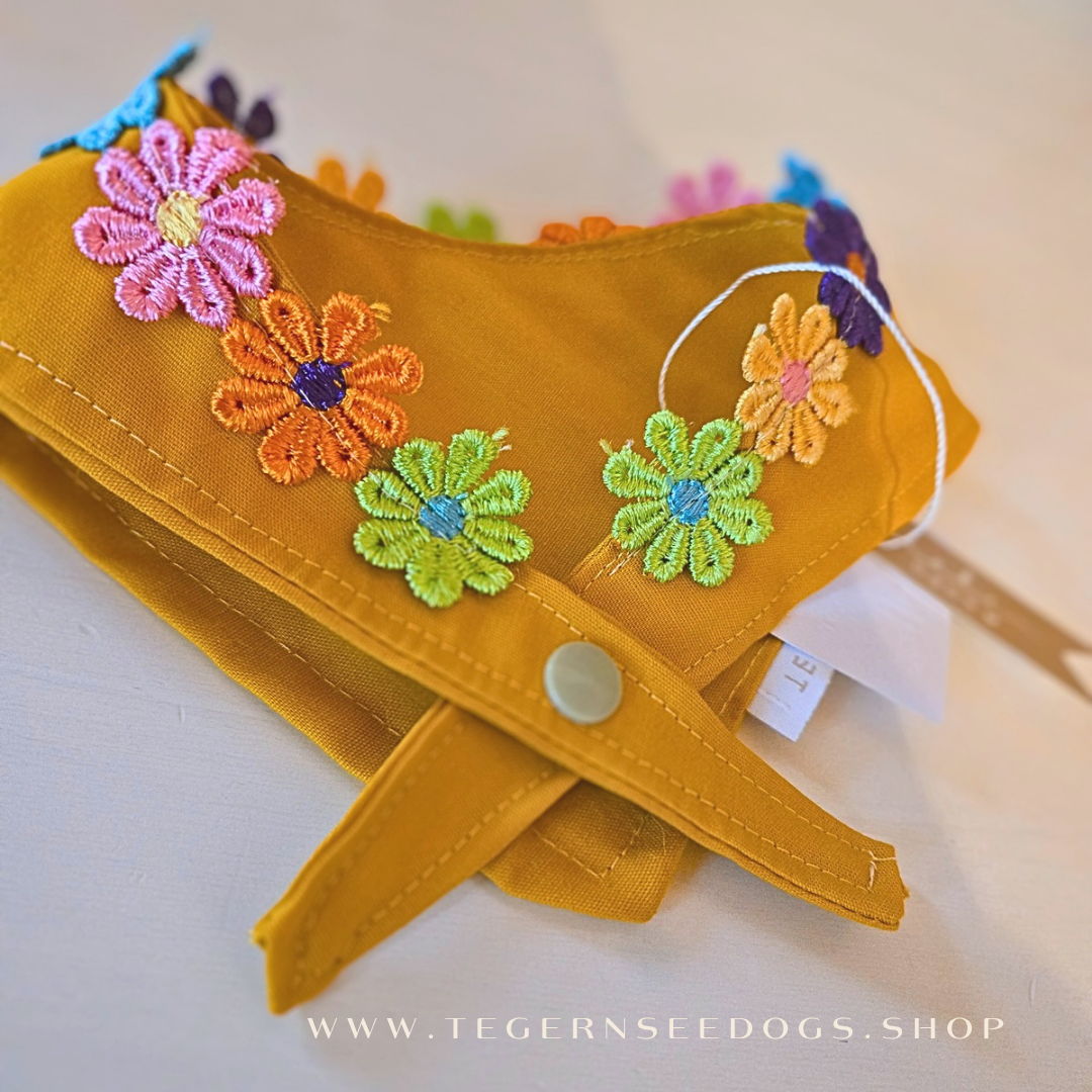 Flower Power Orange