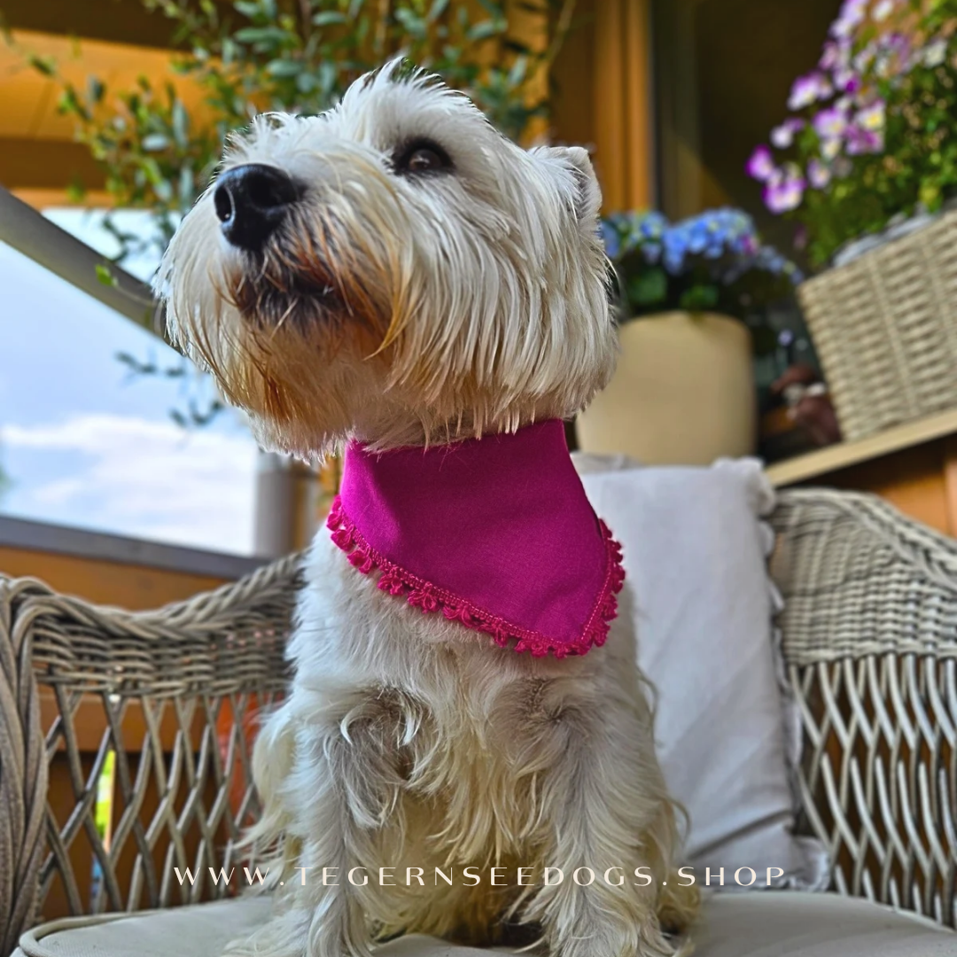 Flower Power Pink