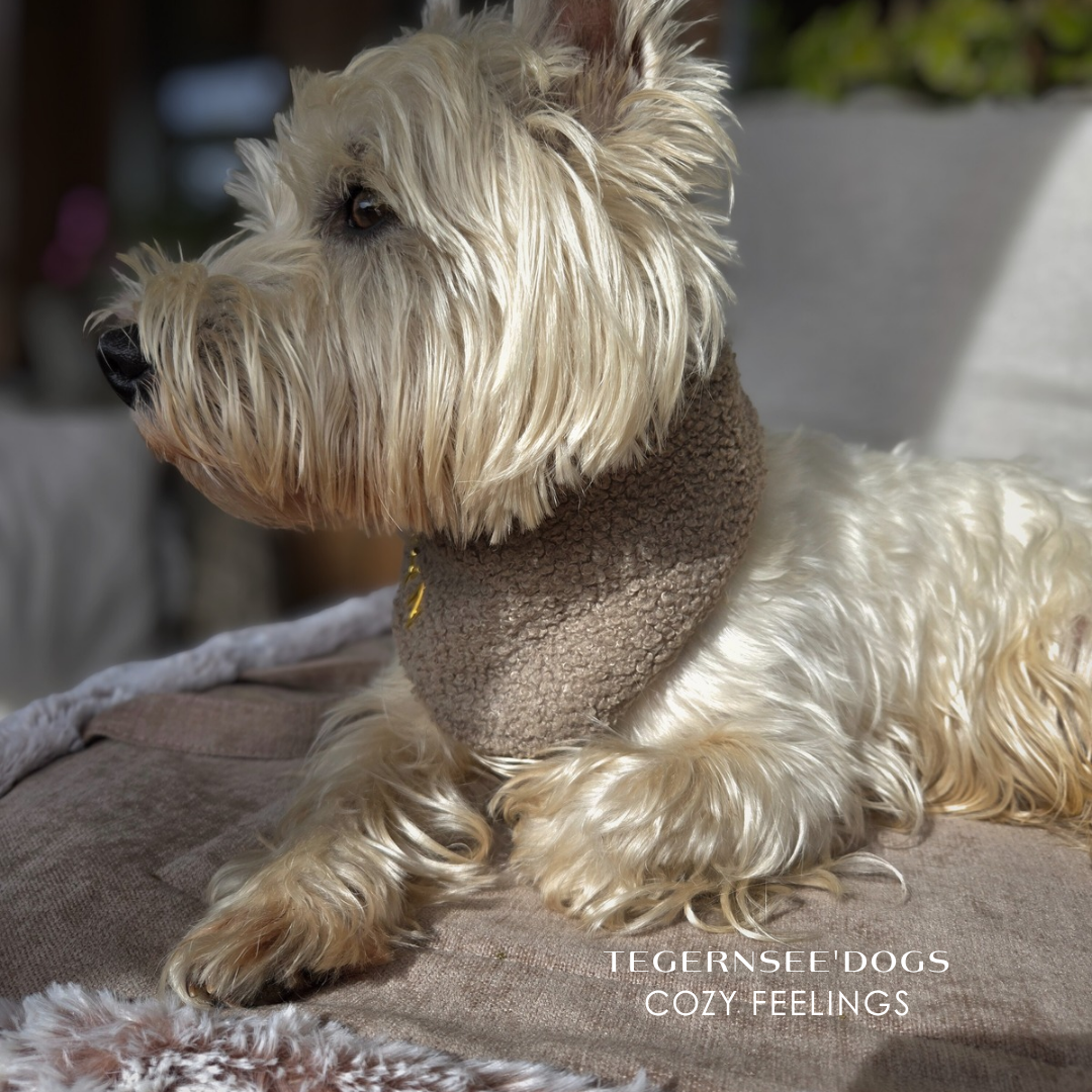 Warme Hundedecke Cozy Feelings