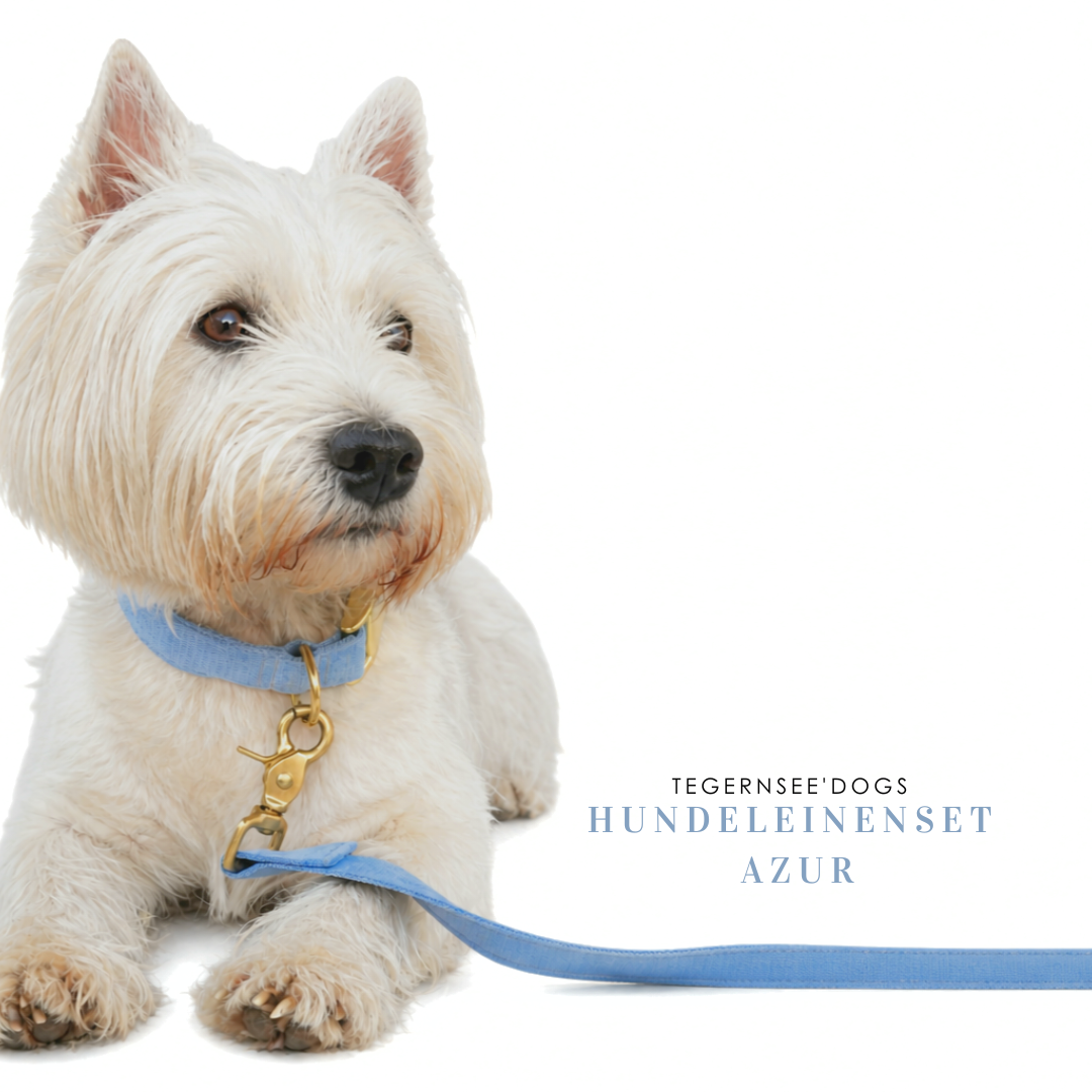 Halsband- Leinenset Azur