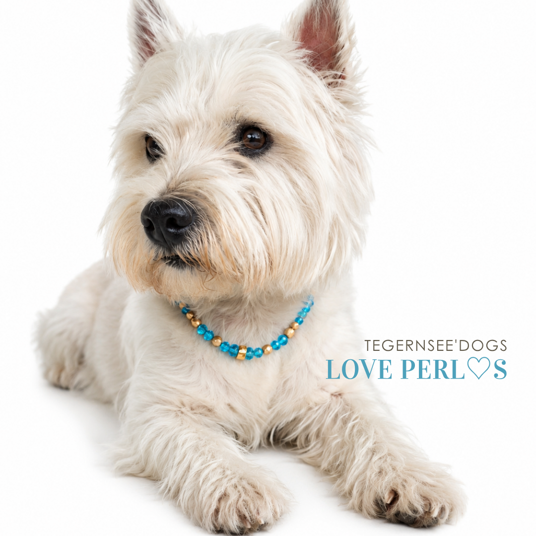 LOVE Perl's Golden Summer
