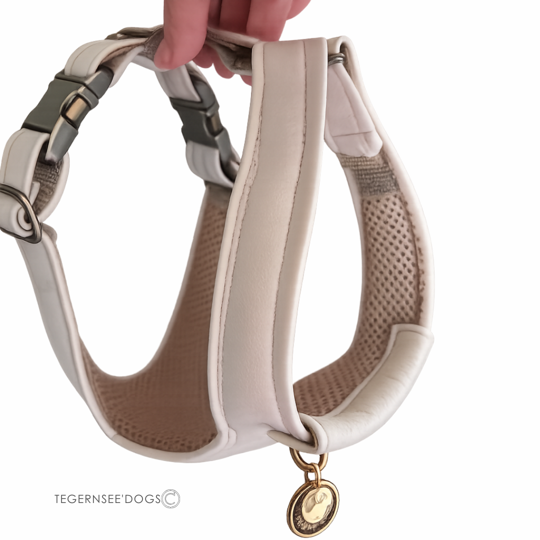 Im August online! SoftLeder Hundegeschirr