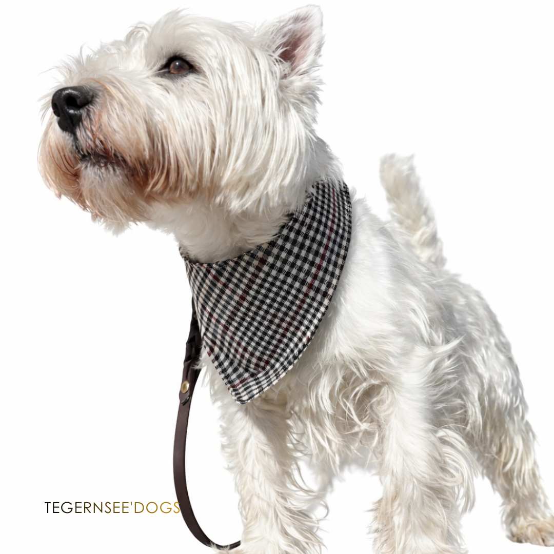 Adventure Collection