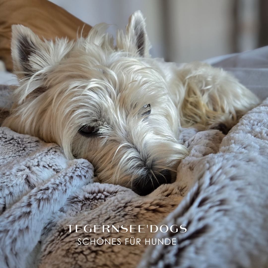 Hundedecken Cozy Feelings