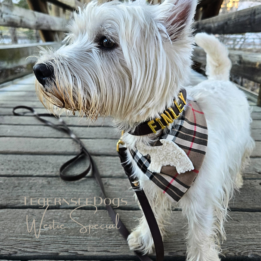 "Westie Special" ▪︎ Bandana ▪︎ Camel
