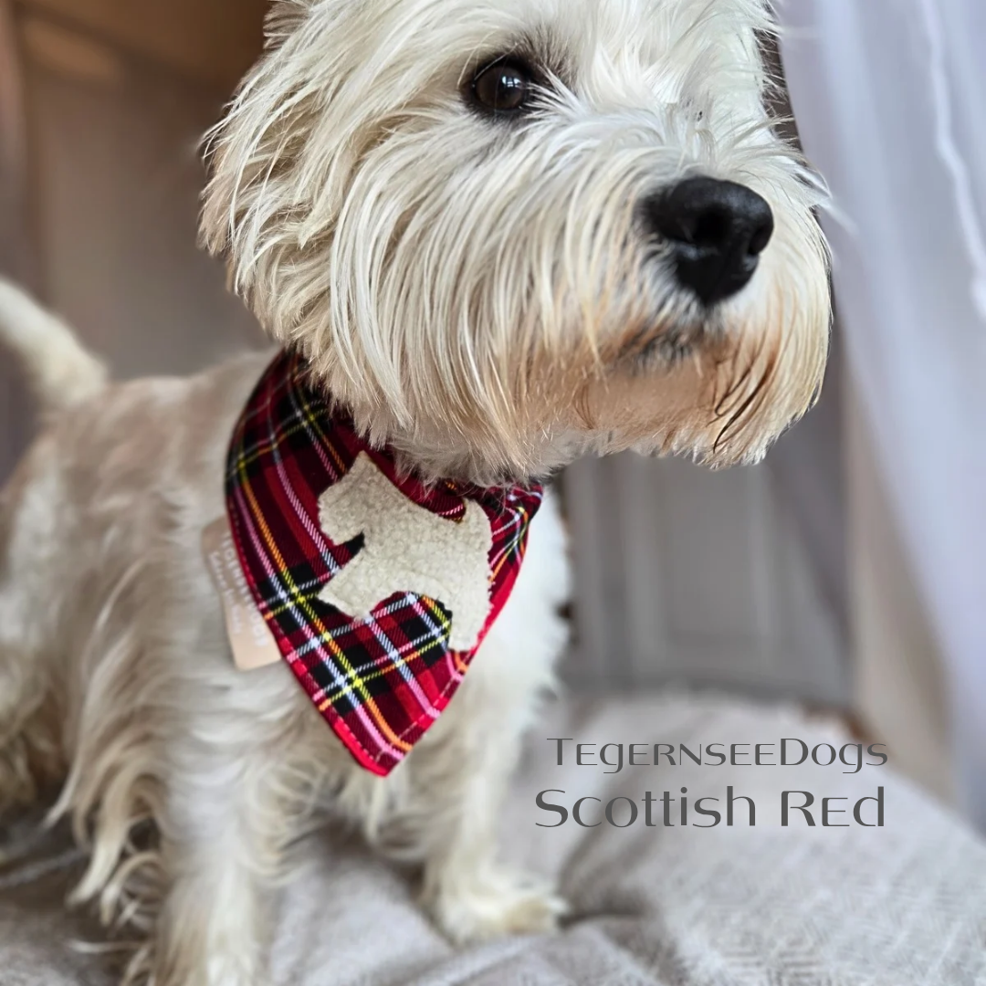 Westie Special ▪︎ Bandana ▪︎ Scottish Red