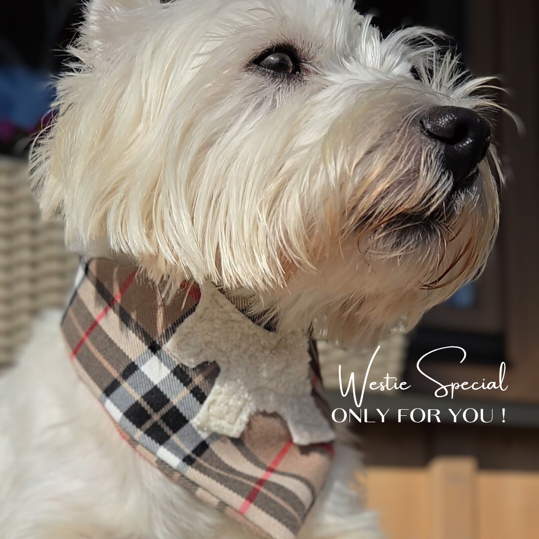 "Westie Special" ▪︎ Bandana ▪︎ Camel
