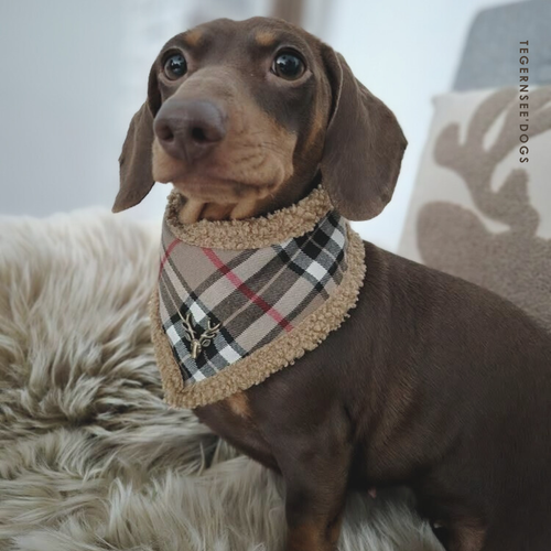 Burberry Style