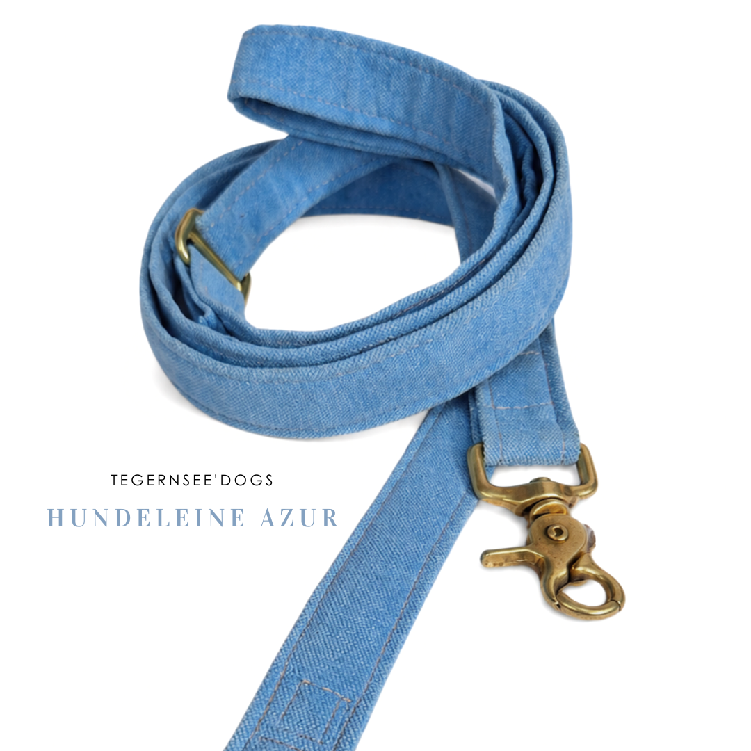 Hundeleine Azur
