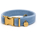 Hundehalsband Azur