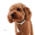 Leo Art Halsband