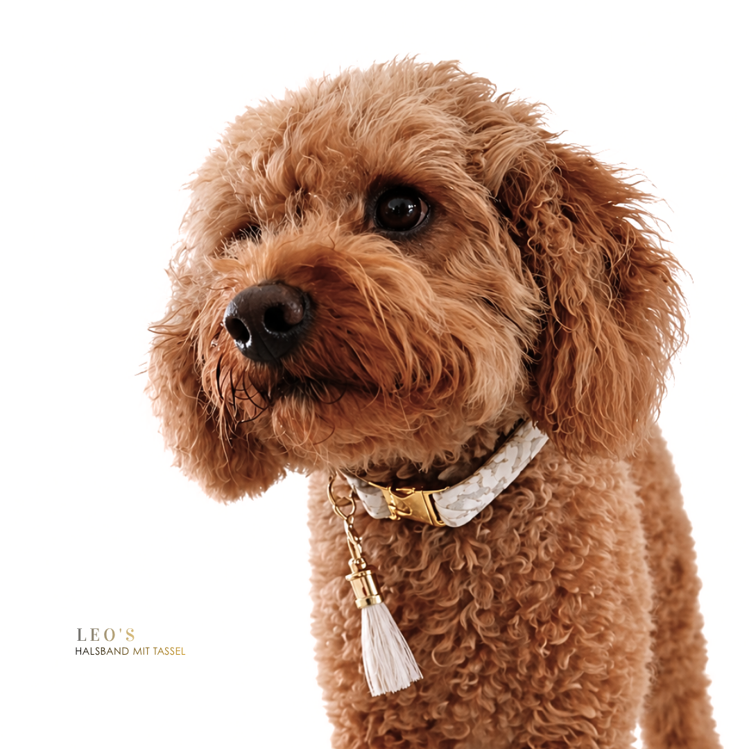 Leo Art Halsband