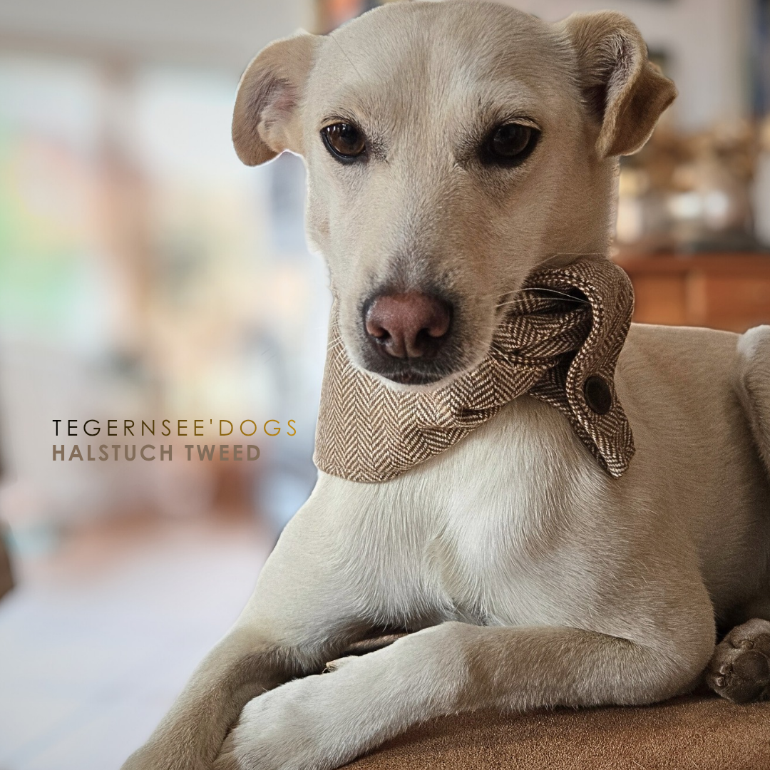Halstuch Tweed